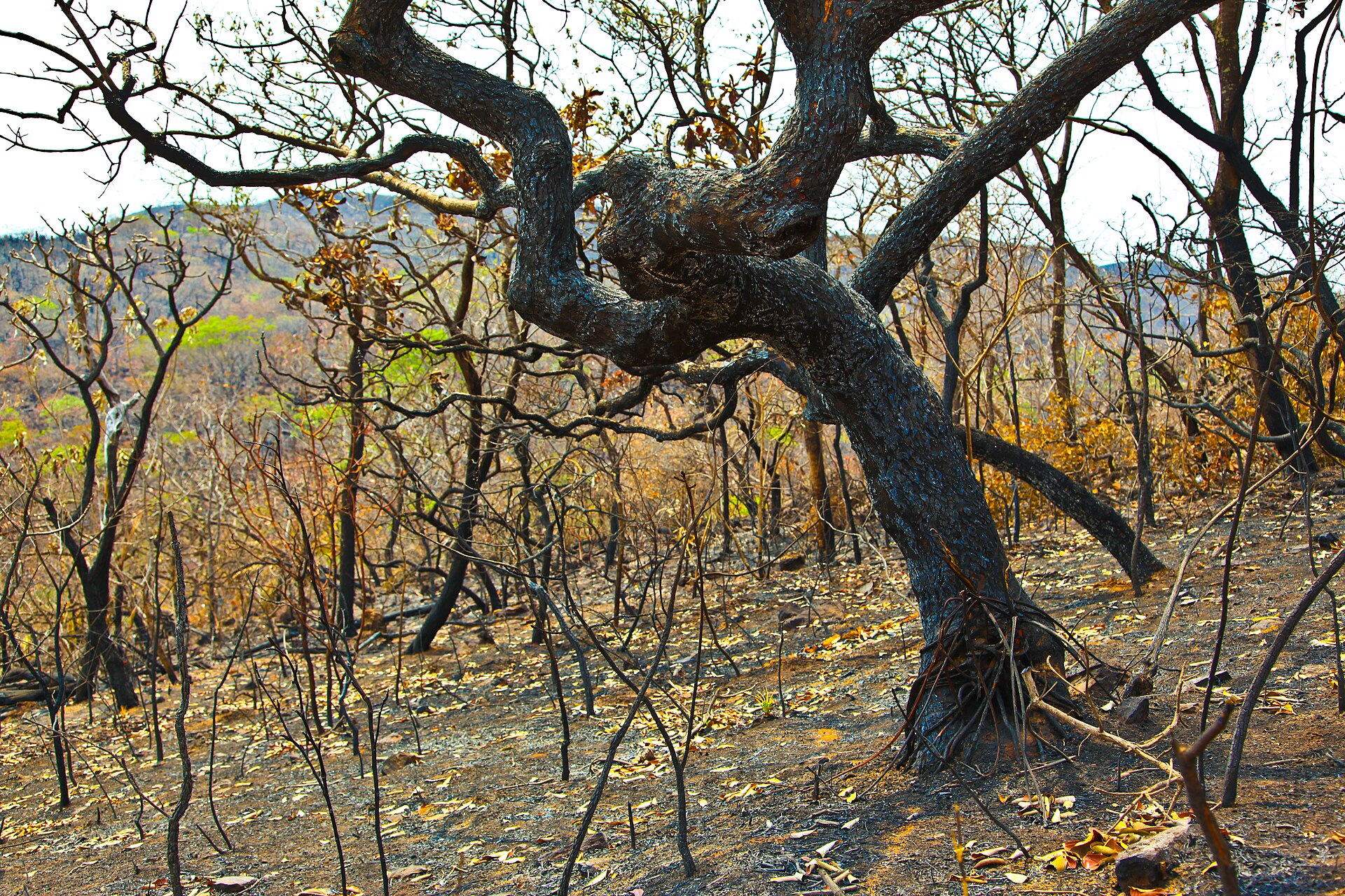 Chapada Imperial: 27 cachoeiras na maior reserva particular do DF