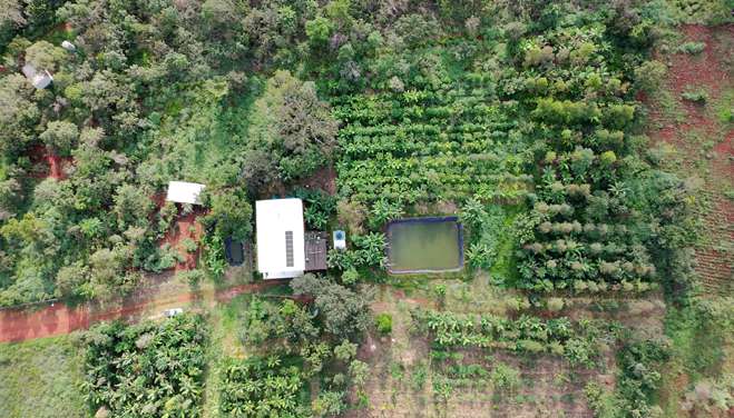 Turismo rural: um dia de fazenda no Cerrado do Distrito Federal