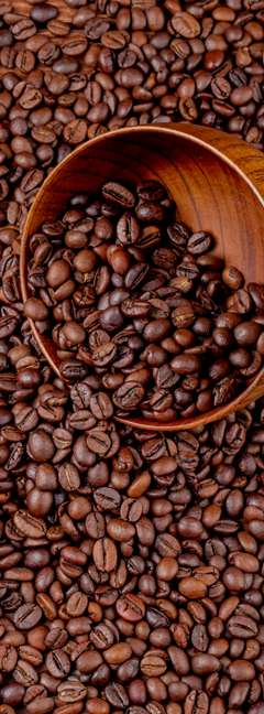 Café Especial do Cerrado